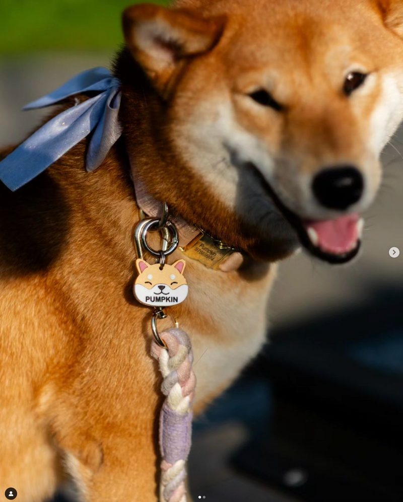 Shiba Tag