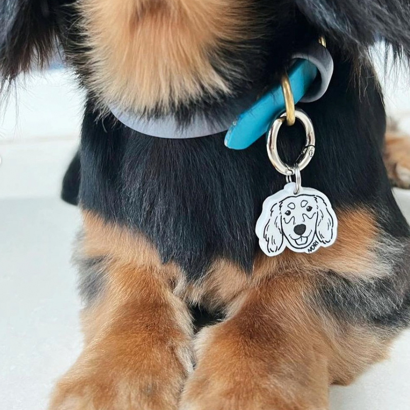 Doodle Pet Tag