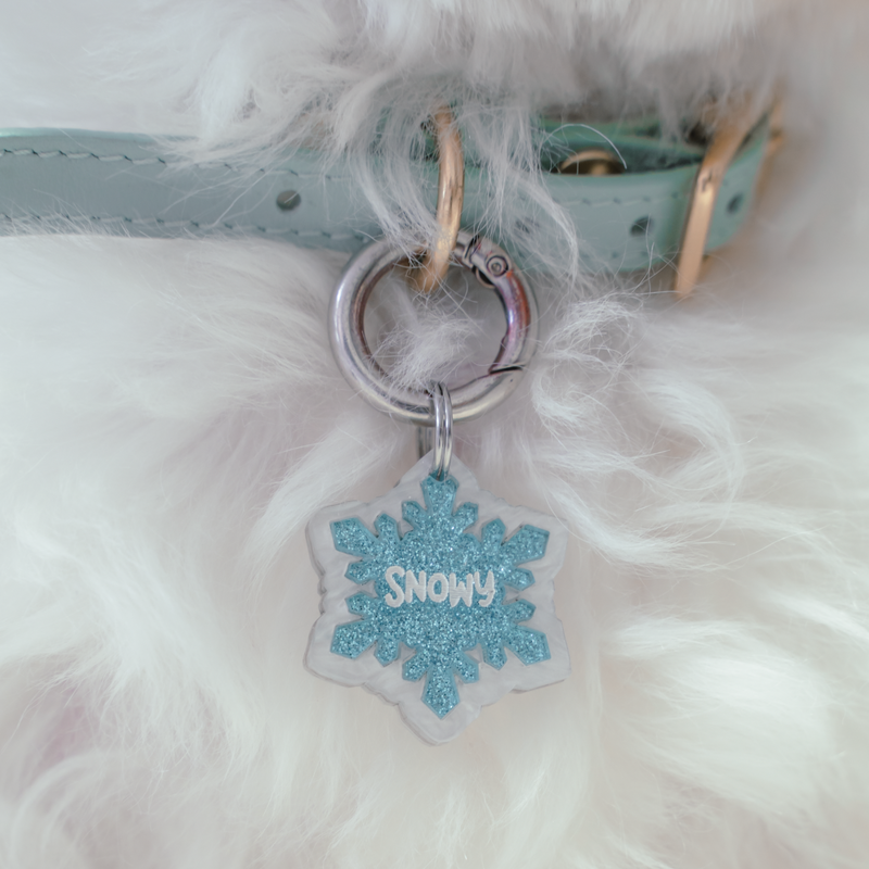 Snowflake Tag